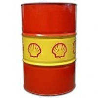 Shell Corena